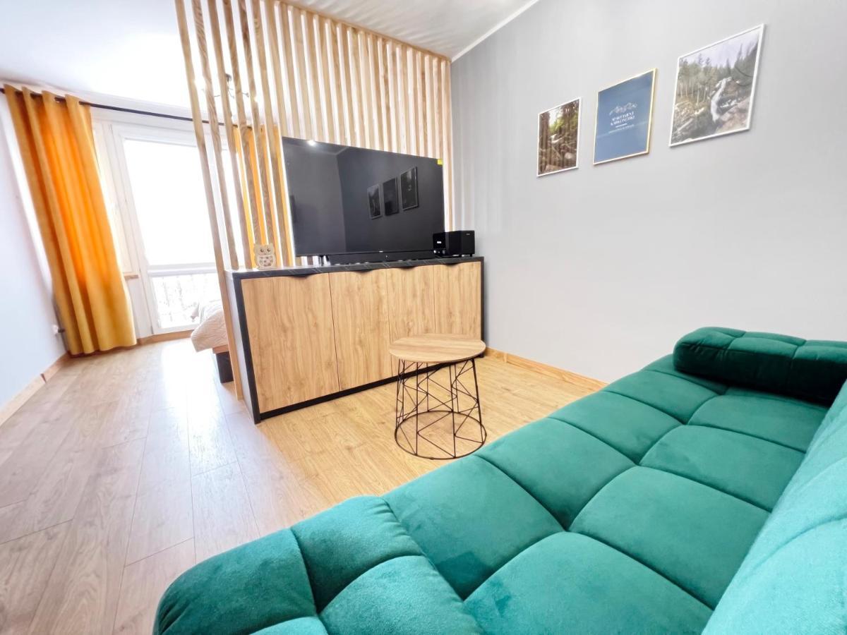 פיצ'ובויצה Apartament Karkonoski מראה חיצוני תמונה
